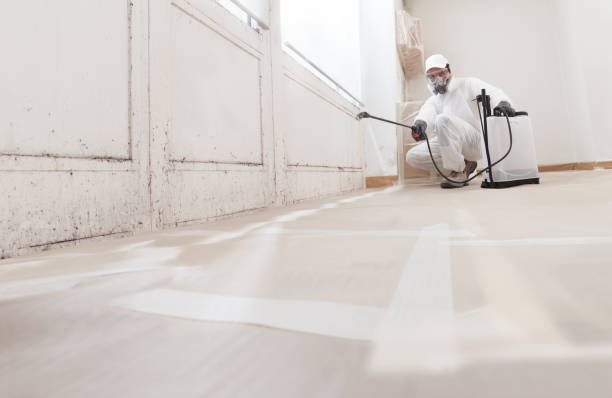 24/7 Emergency Mold Remediation experts in Belmont, MA